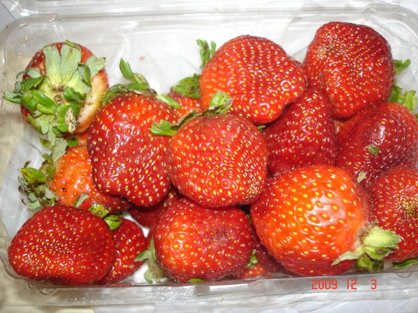 DSC08606.JPG