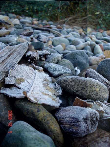DSC08675.JPG