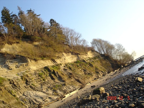 DSC08708.JPG