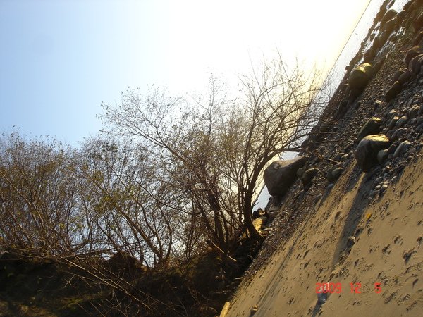 DSC08714.JPG