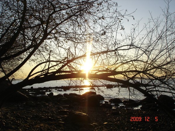 DSC08715.JPG