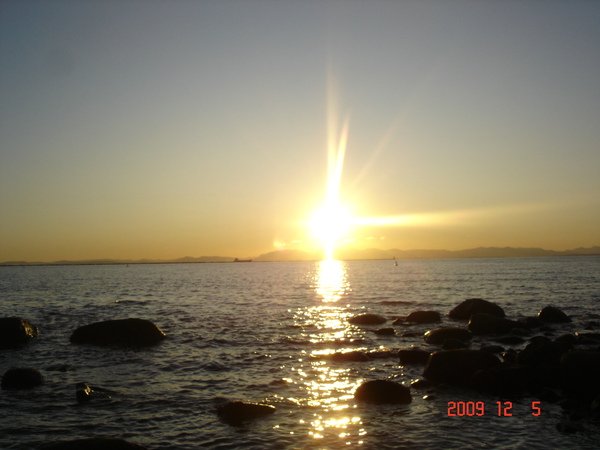 DSC08716.JPG