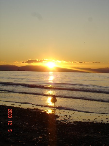 DSC08743.JPG