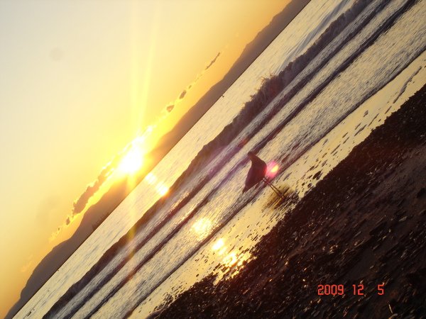 DSC08744.JPG