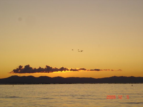 DSC08777.JPG