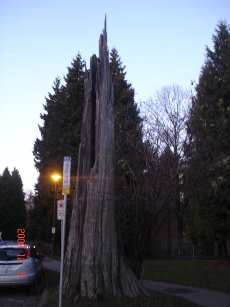 DSC08790.JPG