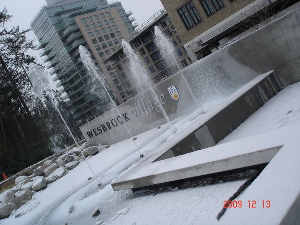 DSC08997.JPG