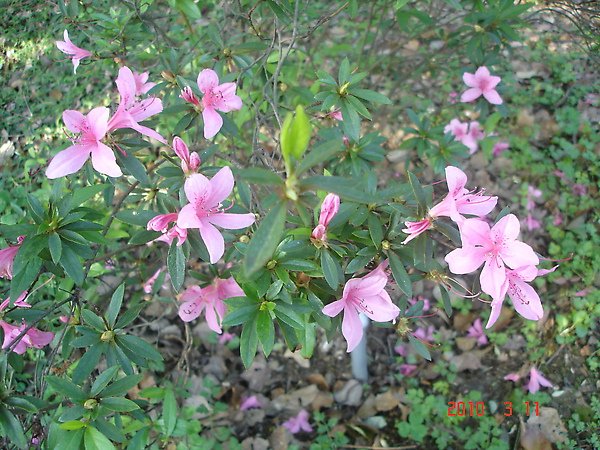 DSC01119.JPG