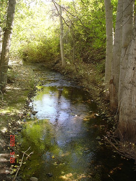 DSC06820.JPG