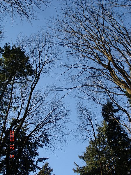 DSC08664.JPG