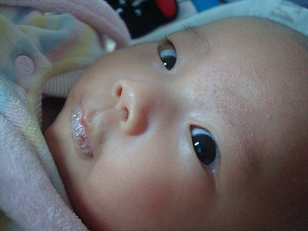 DSC04650.JPG