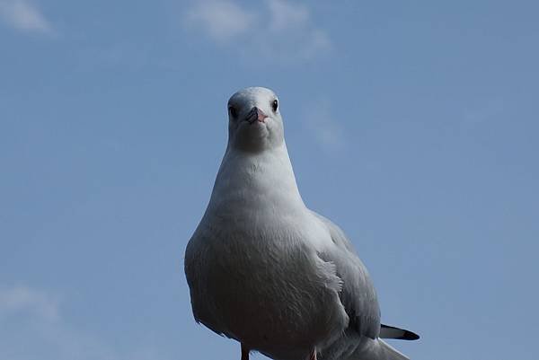 1611