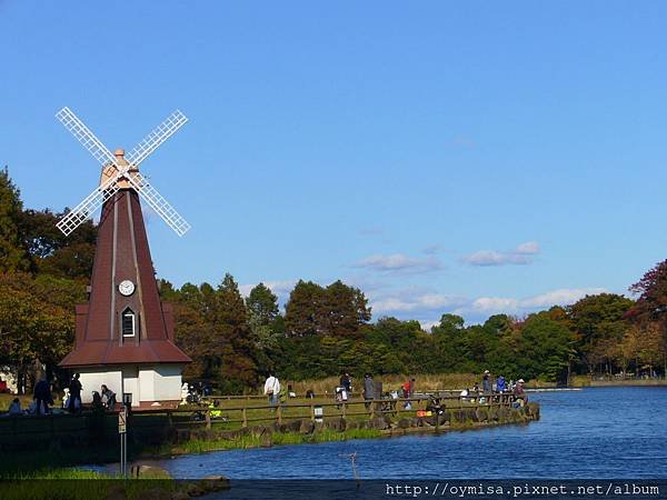 浮間舟渡公園第二回 (7).JPG