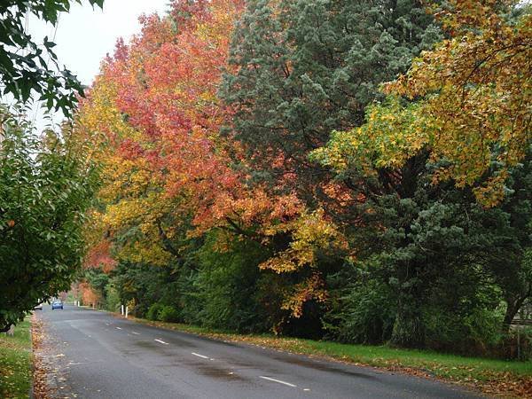 Bundanoon(Railway Avenue2