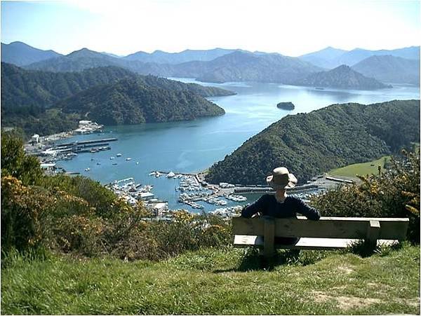 Picton (ariel view.jpg