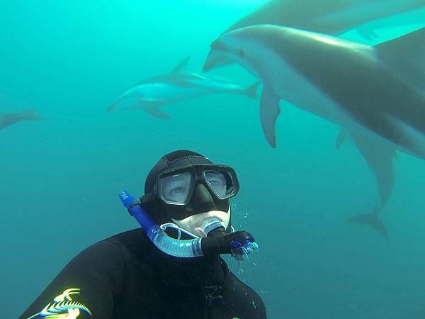 DOLPHIN ENCOUNTER(KAIKOURA (6).jpg