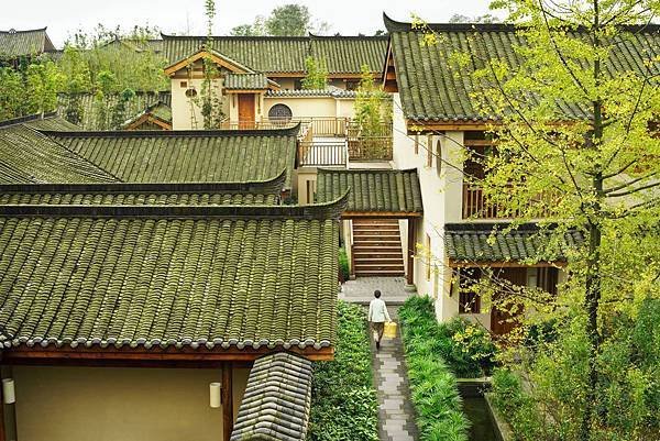 古道今城~成都茶店子客運站.都江堰.茶馬古道.西街.青城山 