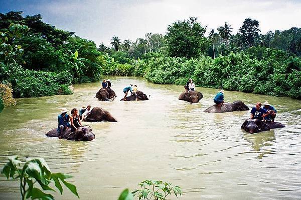 Elephant Sanctury Village(LpQ;3