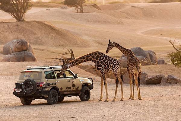 AL AIN SAFARI PARK(8.jpg