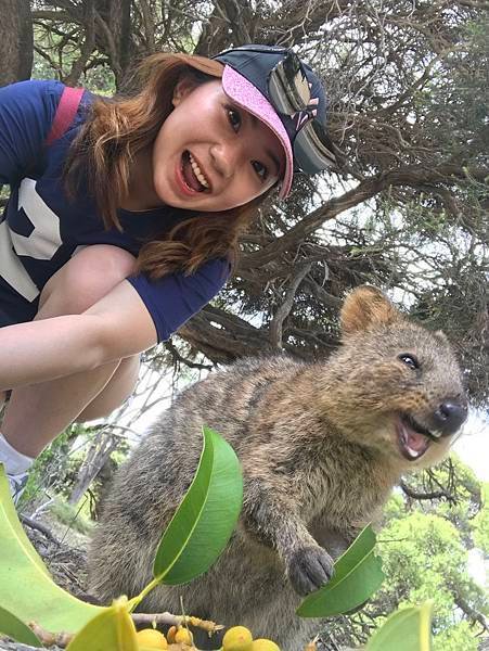 SMILE QUOKKA(HIGH.jpg