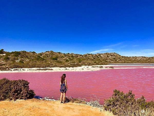 赫特潟湖 Hutt Lagoon.jpg