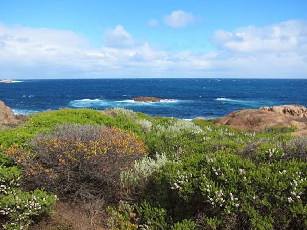 18 西澳。海濱輕度健行(Cape to Cape Trac