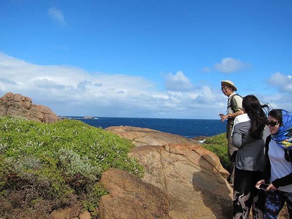 18 西澳。海濱輕度健行(Cape to Cape Trac