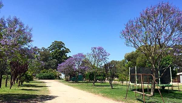 Kellers B&amp;B(Swan valley;Jacaranda