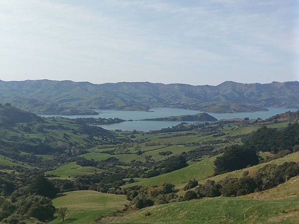 HILL TOP 景觀餐廳(往羊駝場途中) (4).jpg