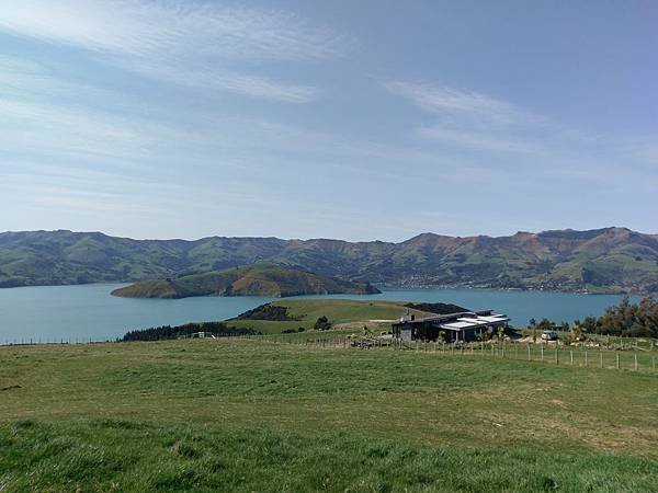 18 SEP.  基督城(法國小鎮Akaroa.最萌羊駝農場