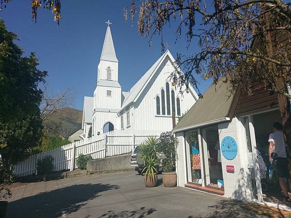 18 SEP.  基督城(法國小鎮Akaroa.最萌羊駝農場