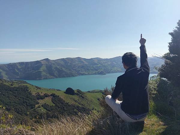 18 SEP.  基督城(法國小鎮Akaroa.最萌羊駝農場