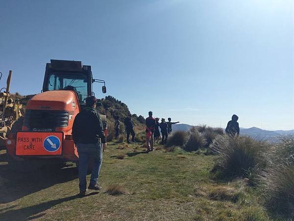 18 SEP.  基督城(法國小鎮Akaroa.最萌羊駝農場