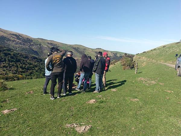 18 SEP.  基督城(法國小鎮Akaroa.最萌羊駝農場