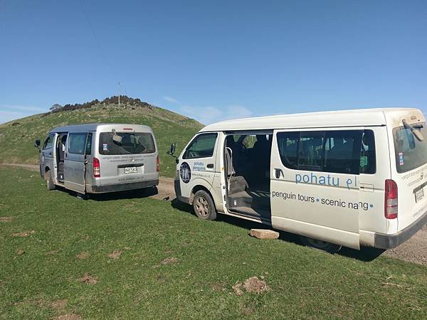 18 SEP.  基督城(法國小鎮Akaroa.最萌羊駝農場