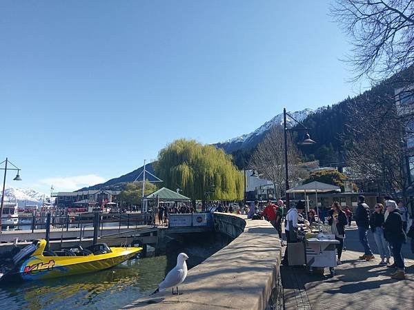 18 SEP. 紐西蘭.皇后鎮(初春的雪景.米其林星級廚師餐