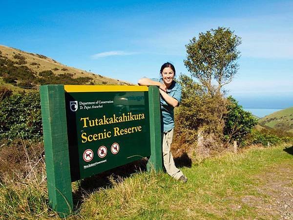 18 SEP.  基督城(法國小鎮Akaroa.最萌羊駝農場