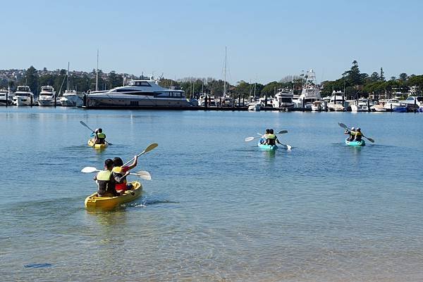 Kayaking(雪梨灣.jpg