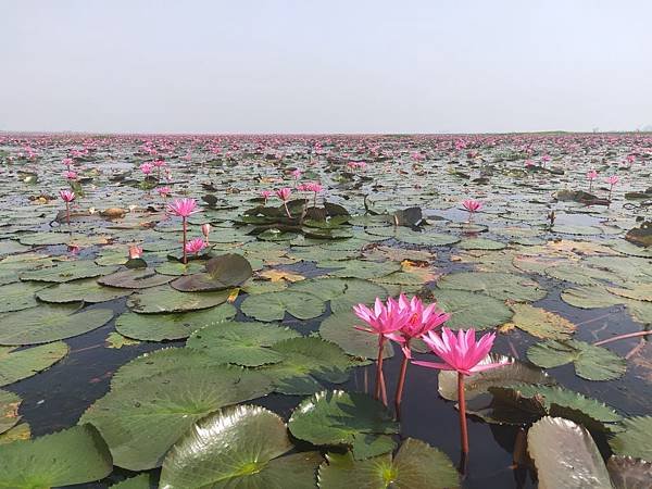 20 MAR. 泰北 烏隆塔尼Udon Thani~秘境之旅