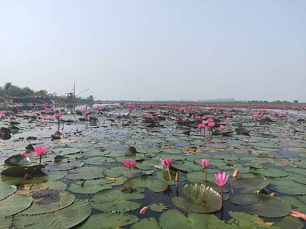 20 MAR. 泰北 烏隆塔尼Udon Thani~秘境之旅