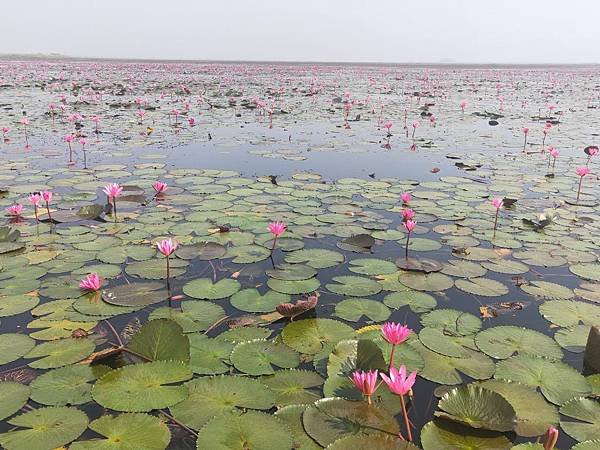 20 MAR. 泰北 烏隆塔尼Udon Thani~秘境之旅