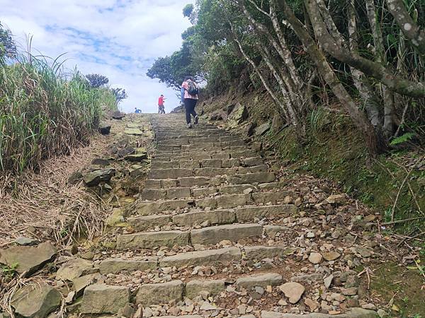 茶壺山步道 (3).jpg