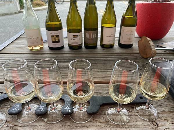 23 瓦納卡Wanaka 一日酋長 (