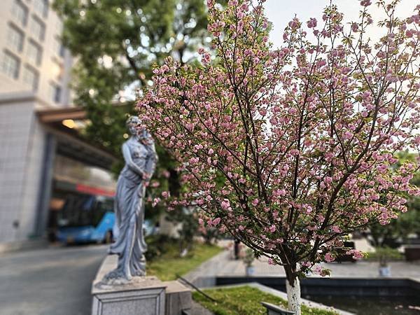 荔波(四季花園 FRONT.jpg