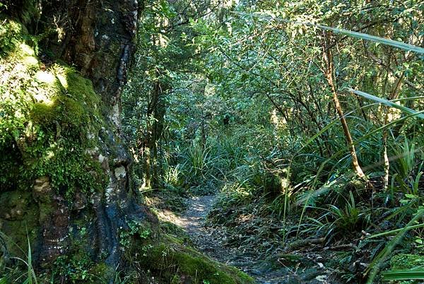 24SEP 新普利茅斯 小富士雪山輕度健行Maungan