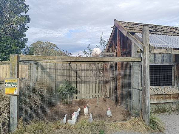 24 SEP 基督城 (New Plymouth 機場.柳岸