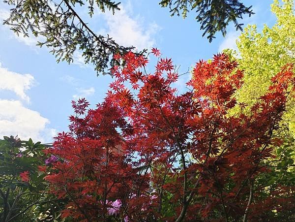 24OCT 十里藍山蟬滿天 百年飯店巡禮(Metropole