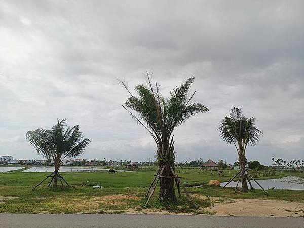 24NOV 會安海岸高爾夫俱樂部Hoiana Shores 