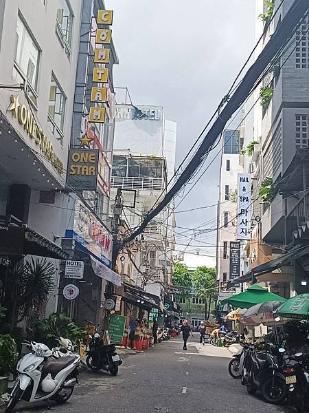 25 峴港輕旅行 (占婆雕刻博物館 ,人力三輪車Cyclos