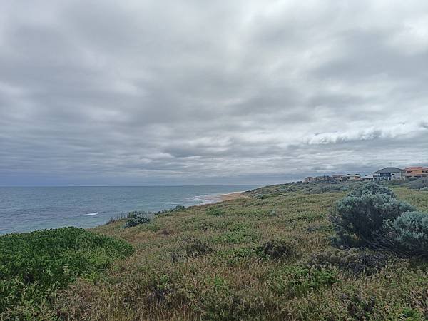 24OCT 西澳 曼德拉 Mandurah (海濱巨人步道.